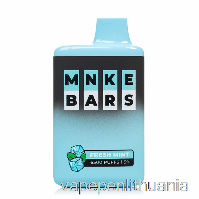 Mnke Bars 6500 Vienkartinis šviežių Mėtų Vape Skystis